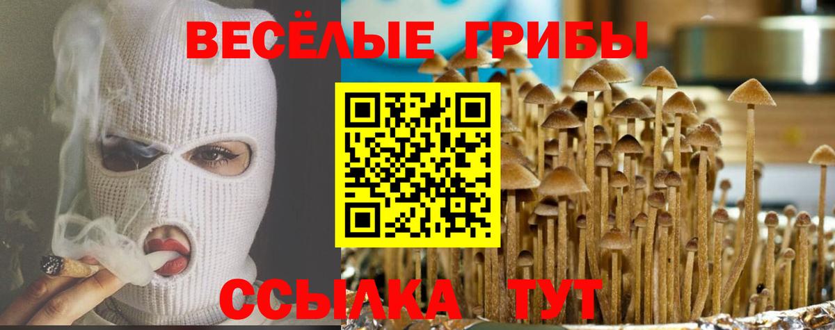 Галлюциногенные грибы мухоморы Новошахтинск