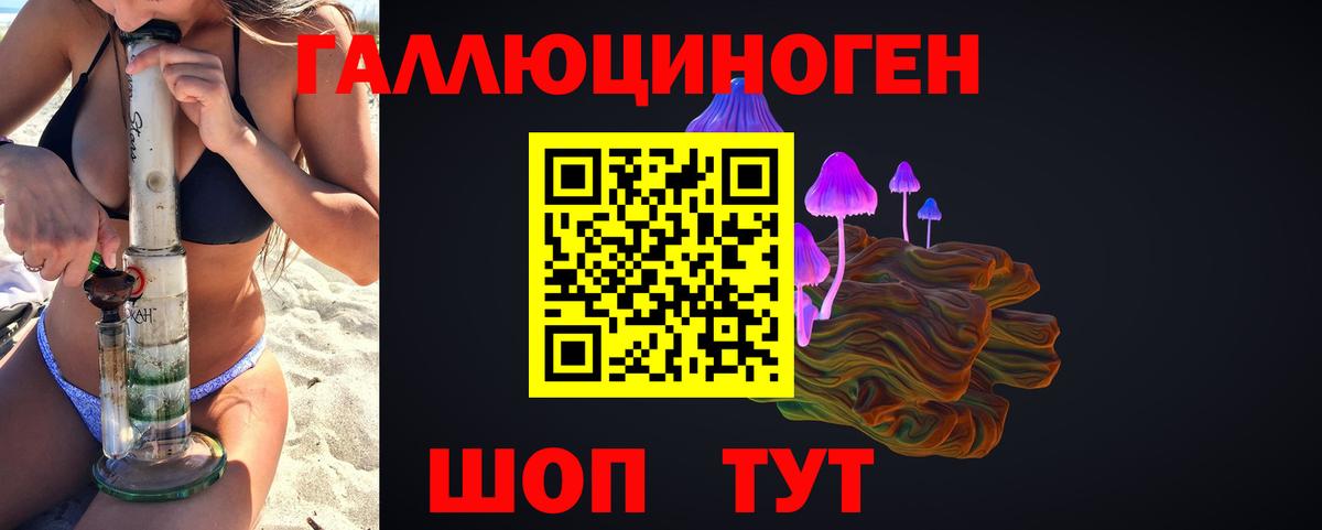 Новошахтинск  дарнет шоп  Вход с VPN  Псилоцибиновые грибы MAGIC MUSHROOMS 